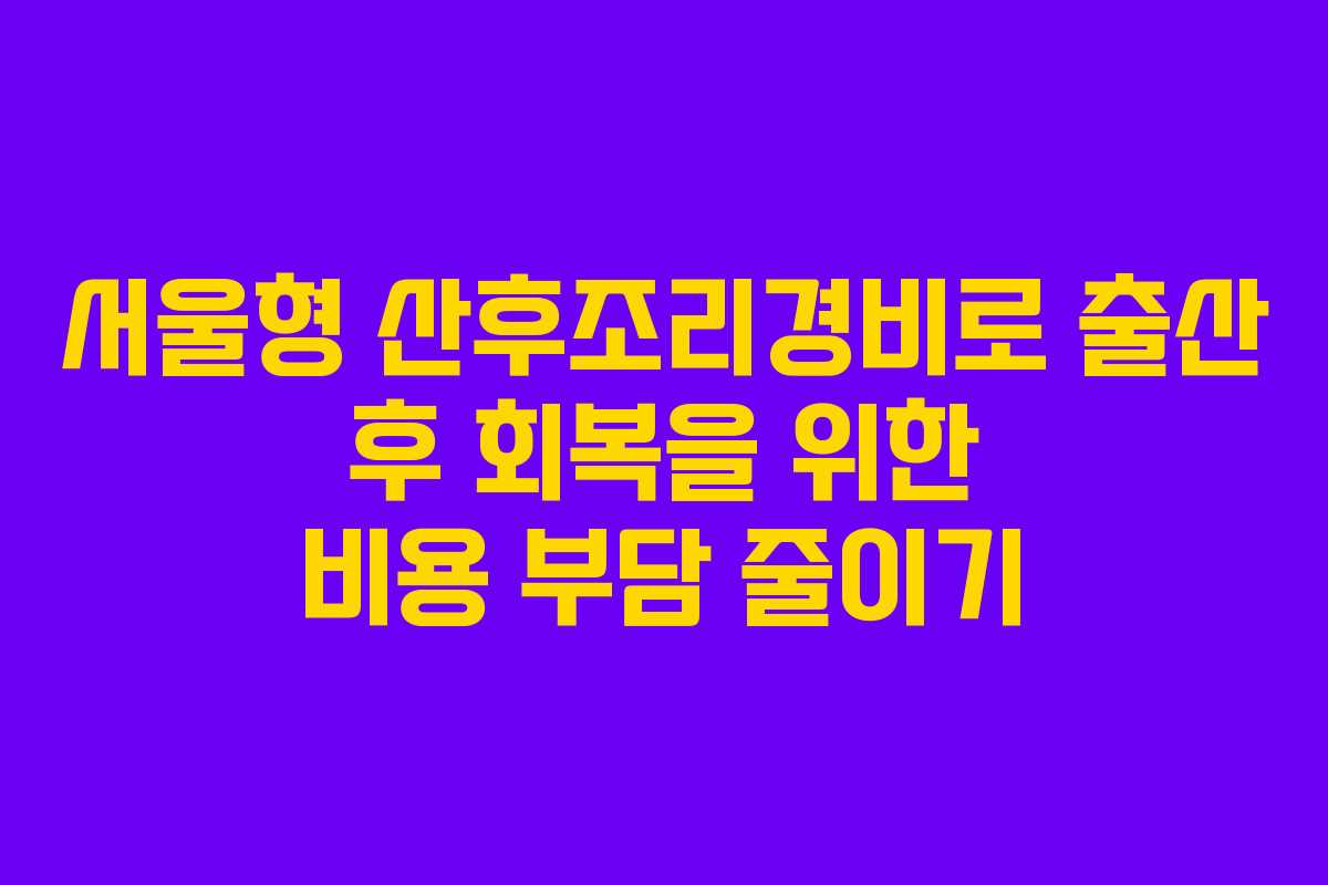 서울형 산후조리경비로 출산 후 회복을 위한 비용 부담 줄이기 서울형 산후조리경비로 출산 후 회복을 위한 비용 부담 줄이기