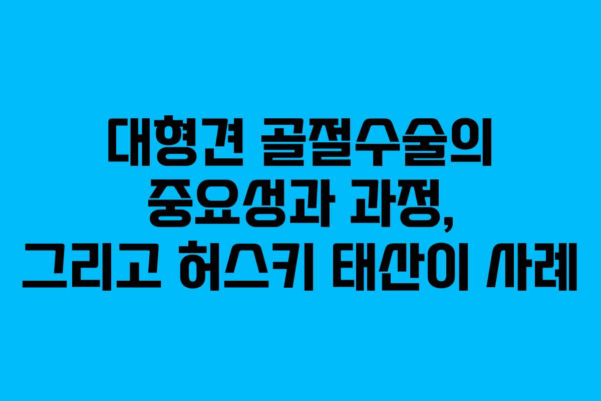 대형견 골절수술의 중요성과 과정, 그리고 허스키 태산이 사례 대형견 골절수술의 중요성과 과정, 그리고 허스키 태산이 사례