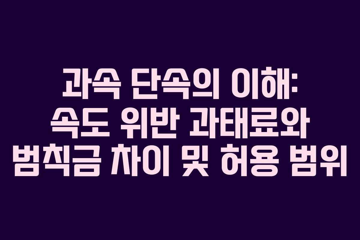 과속 단속의 이해: 속도 위반 과태료와 범칙금 차이 및 허용 범위 과속 단속의 이해: 속도 위반 과태료와 범칙금 차이 및 허용 범위