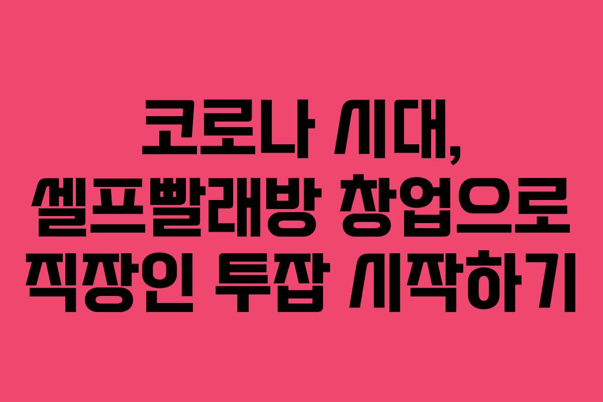 코로나 시대, 셀프빨래방 창업으로 직장인 투잡 시작하기