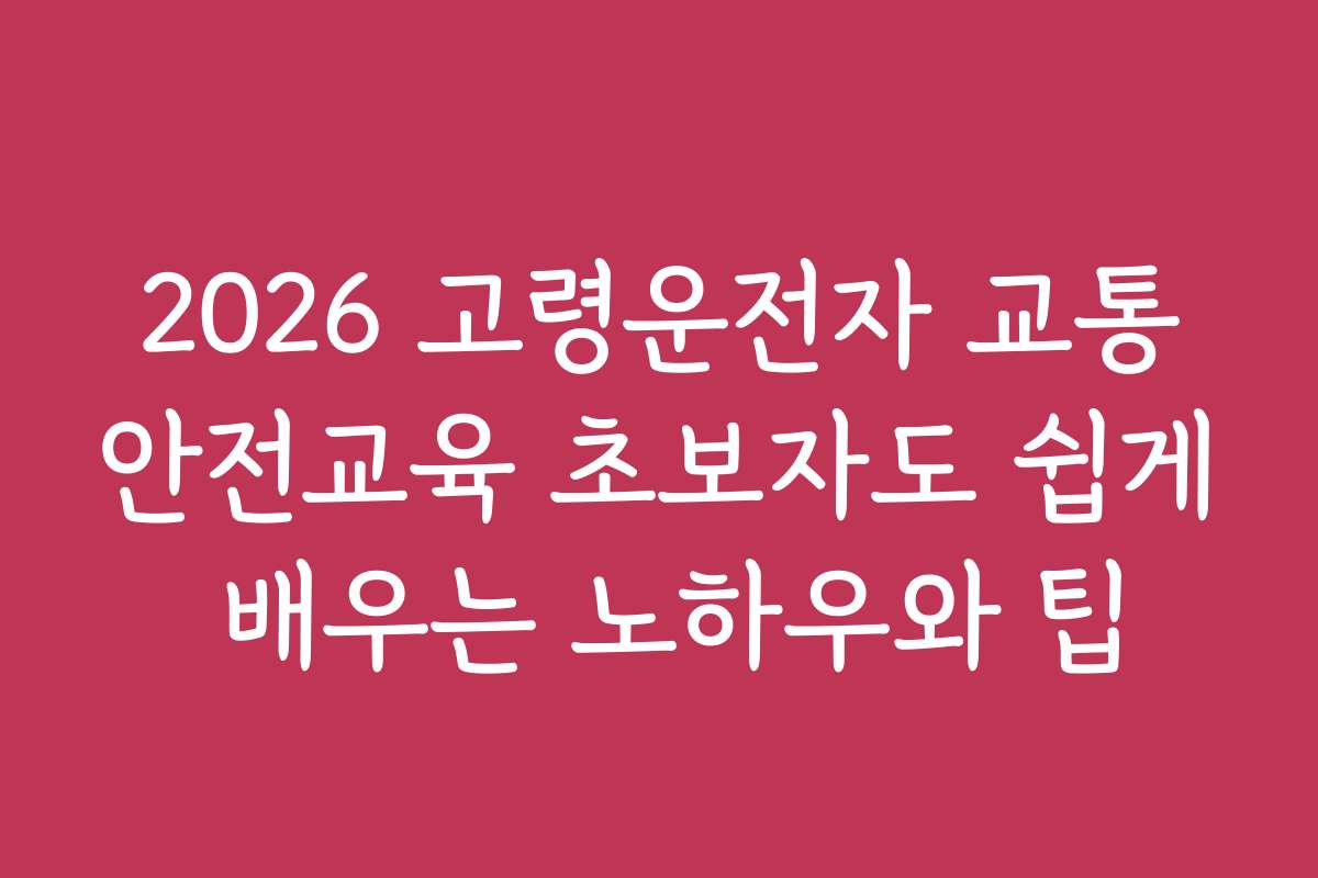 2026 고령운전자 교통안전교육 초보자도 쉽게 배우는 노하우와 팁