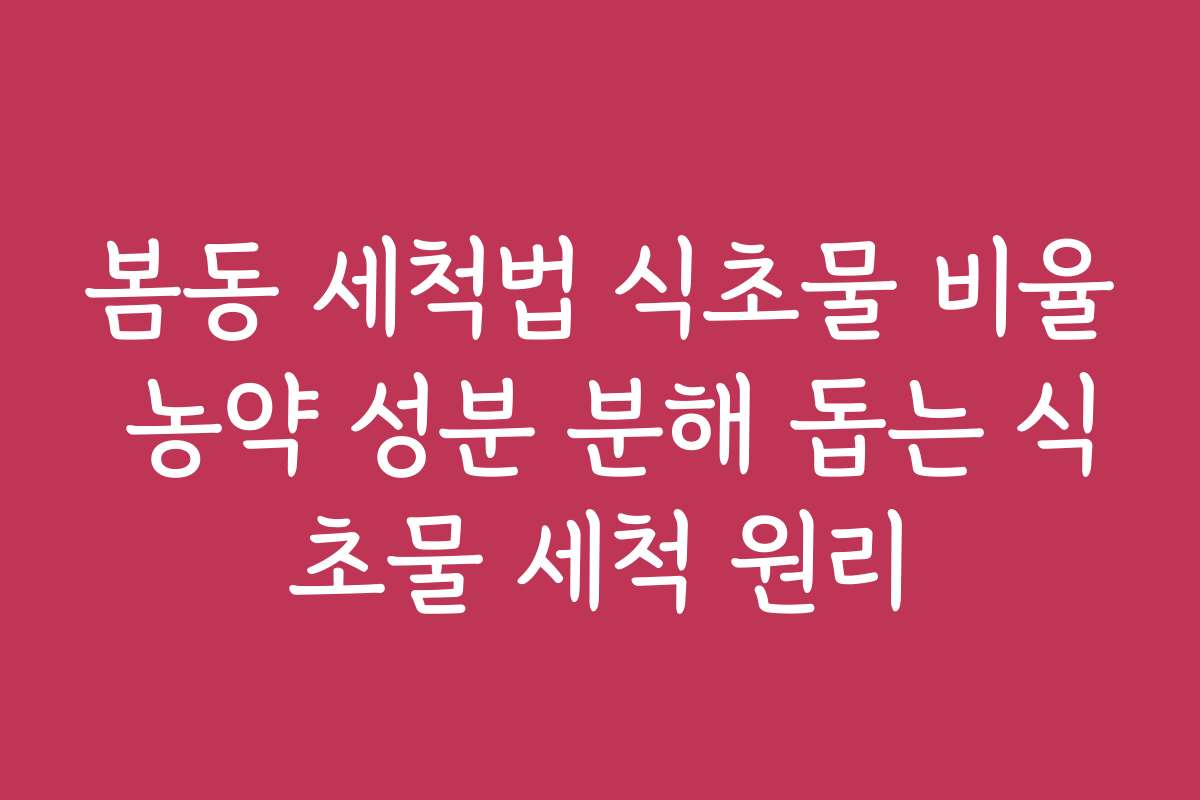 봄동 세척법 식초물 비율 농약 성분 분해 돕는 식초물 세척 원리