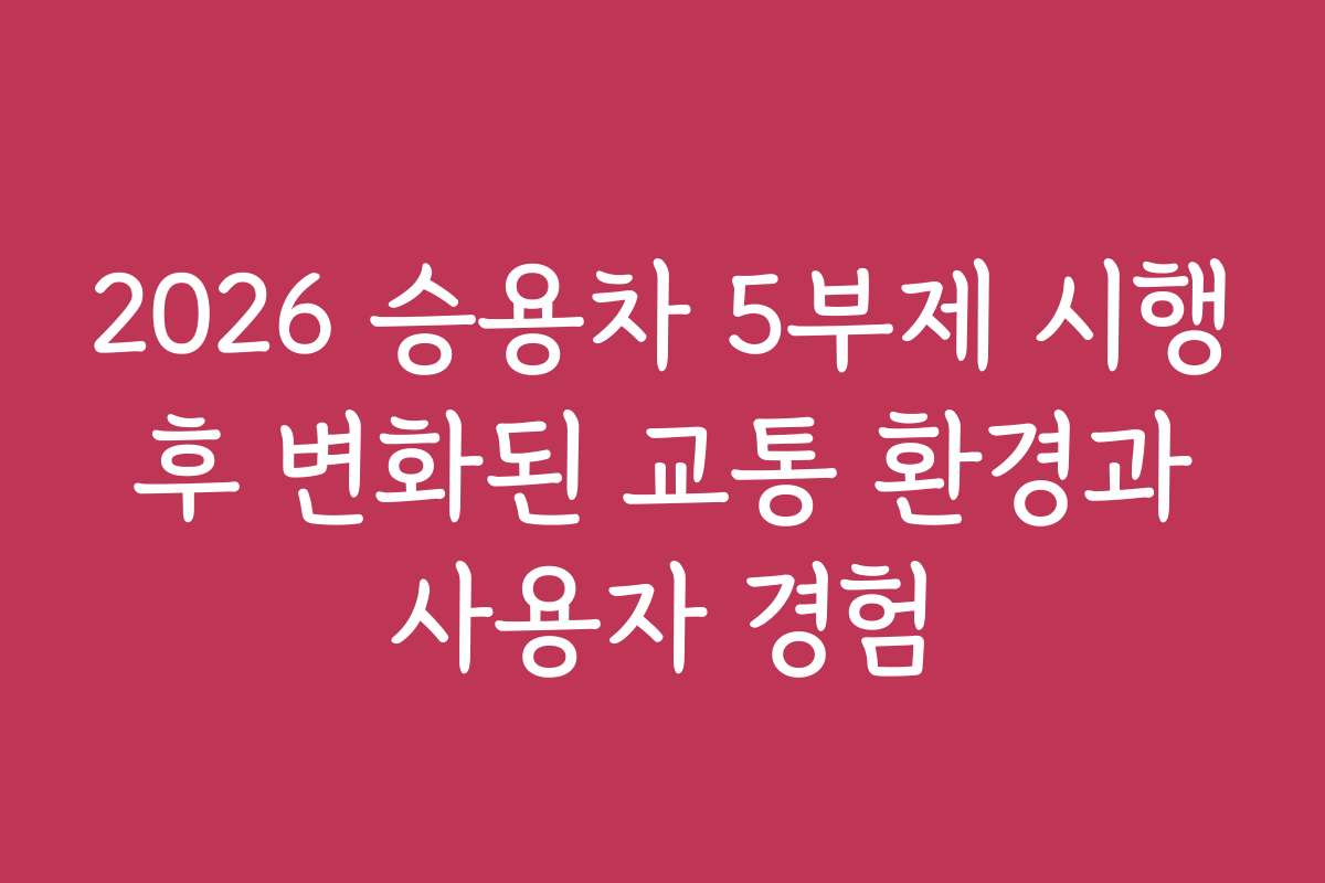 2026 승용차 5부제 시행 후 변화된 교통 환경과 사용자 경험