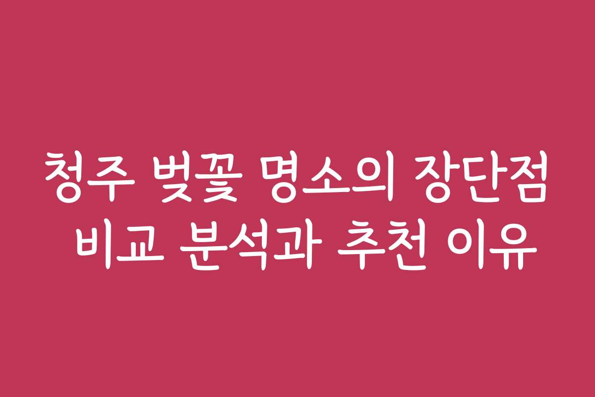 청주 벚꽃 명소의 장단점 비교 분석과 추천 이유