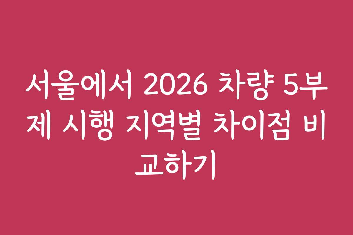 서울에서 2026 차량 5부제 시행 지역별 차이점 비교하기