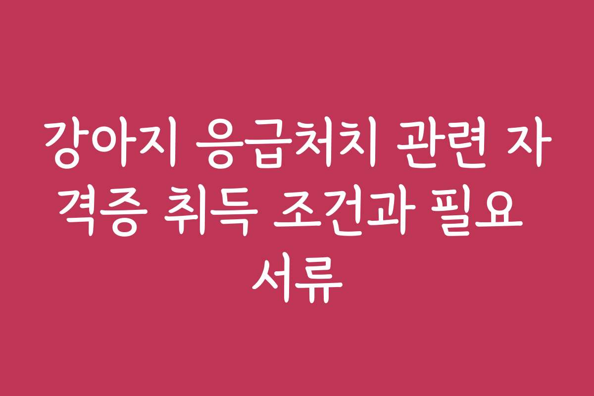 강아지 응급처치 관련 자격증 취득 조건과 필요 서류