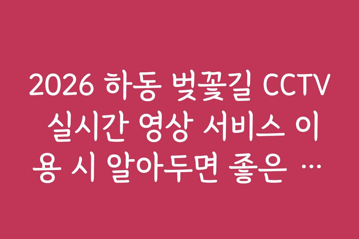 2026 하동 벚꽃길 CCTV 실시간 영상 서비스 이용 시 알아두면 좋은 기능들