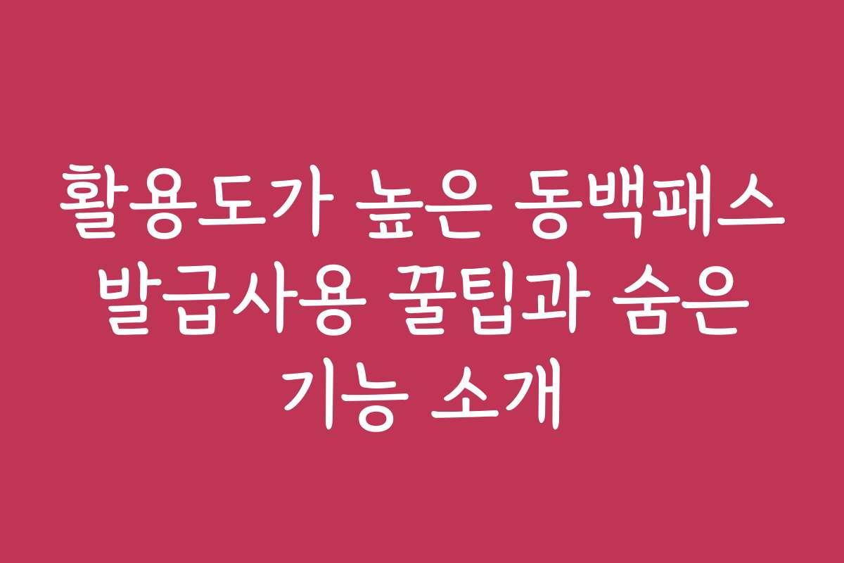 활용도가 높은 동백패스 발급사용 꿀팁과 숨은 기능 소개