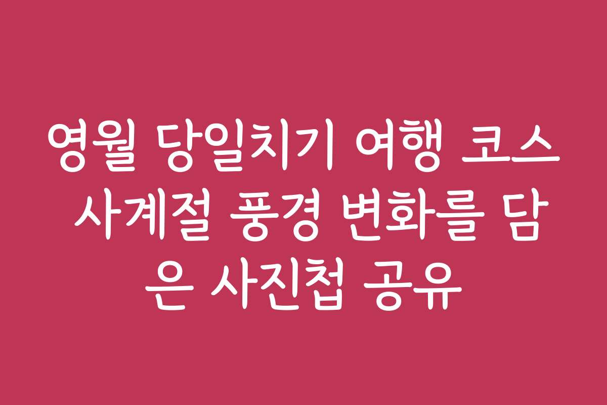영월 당일치기 여행 코스 사계절 풍경 변화를 담은 사진첩 공유