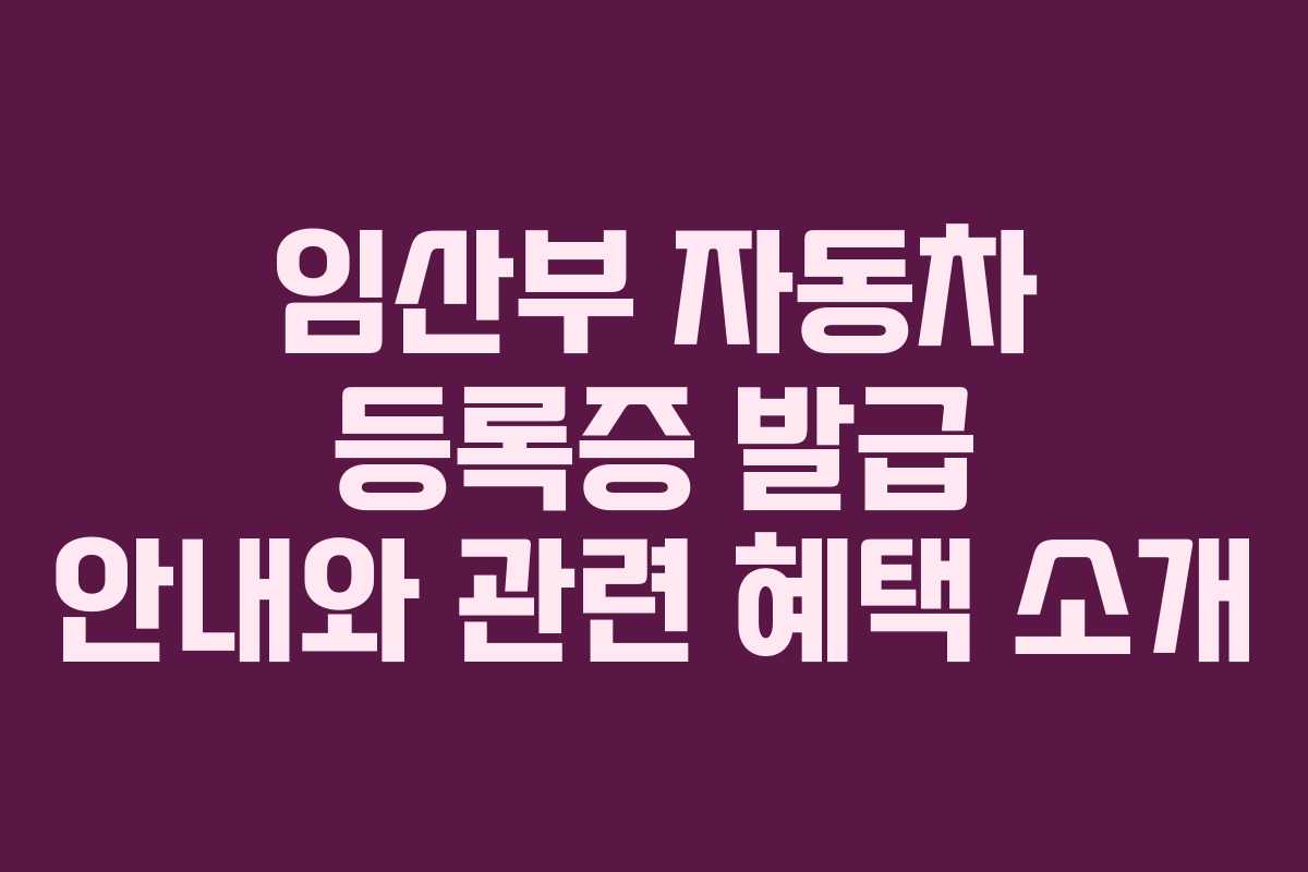 임산부 자동차 등록증 발급 안내와 관련 혜택 소개