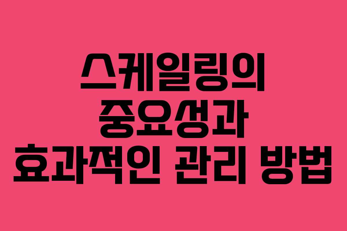스케일링의 중요성과 효과적인 관리 방법