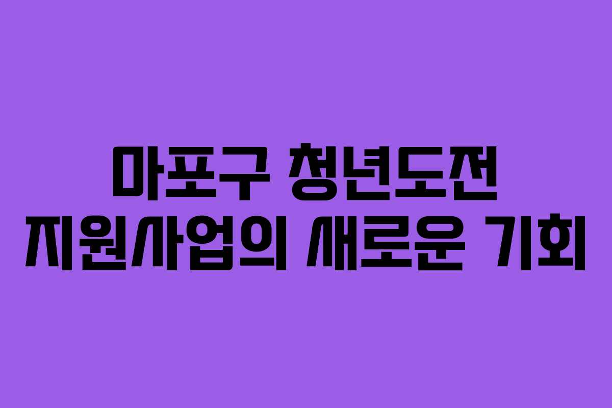 마포구 청년도전 지원사업의 새로운 기회