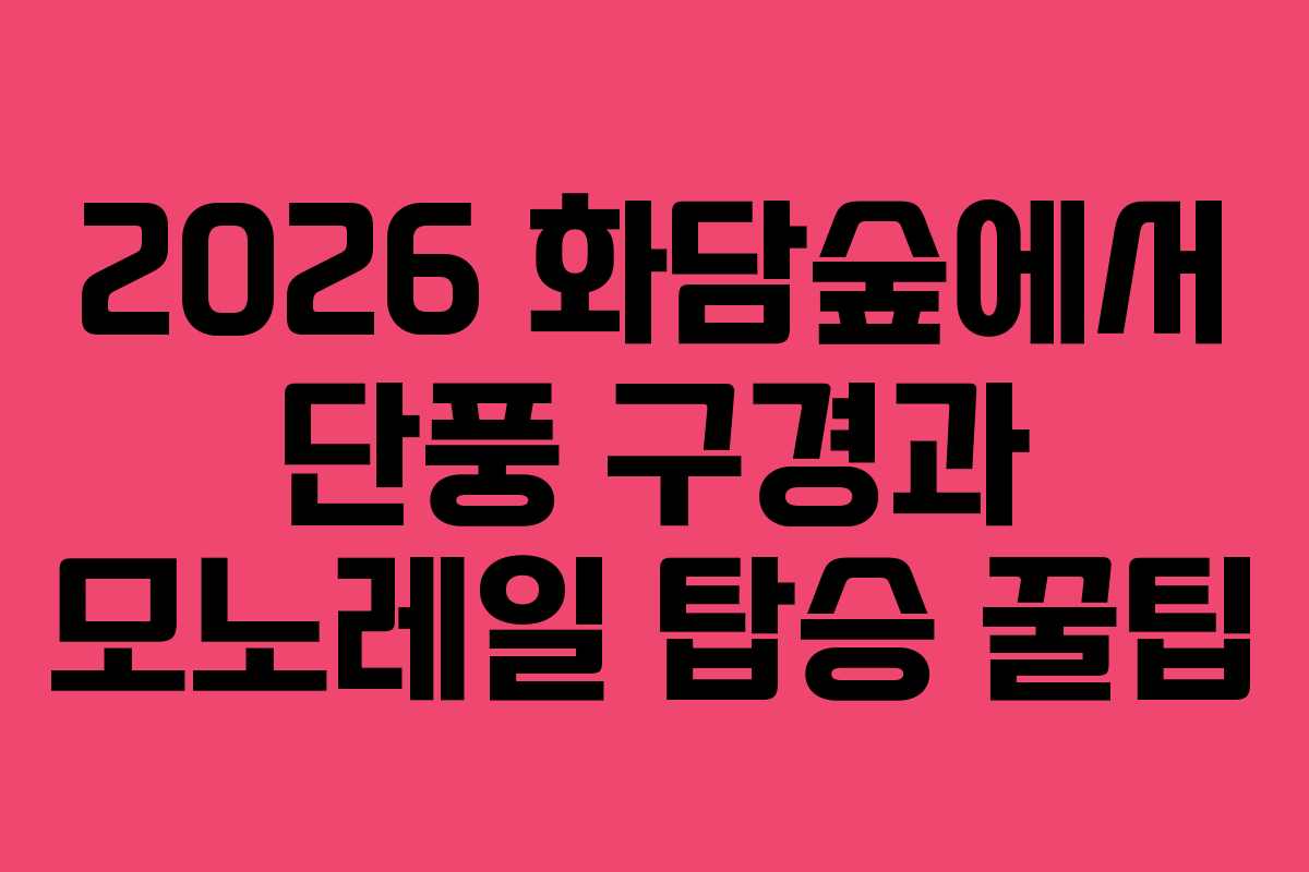 2026 화담숲에서 단풍 구경과 모노레일 탑승 꿀팁