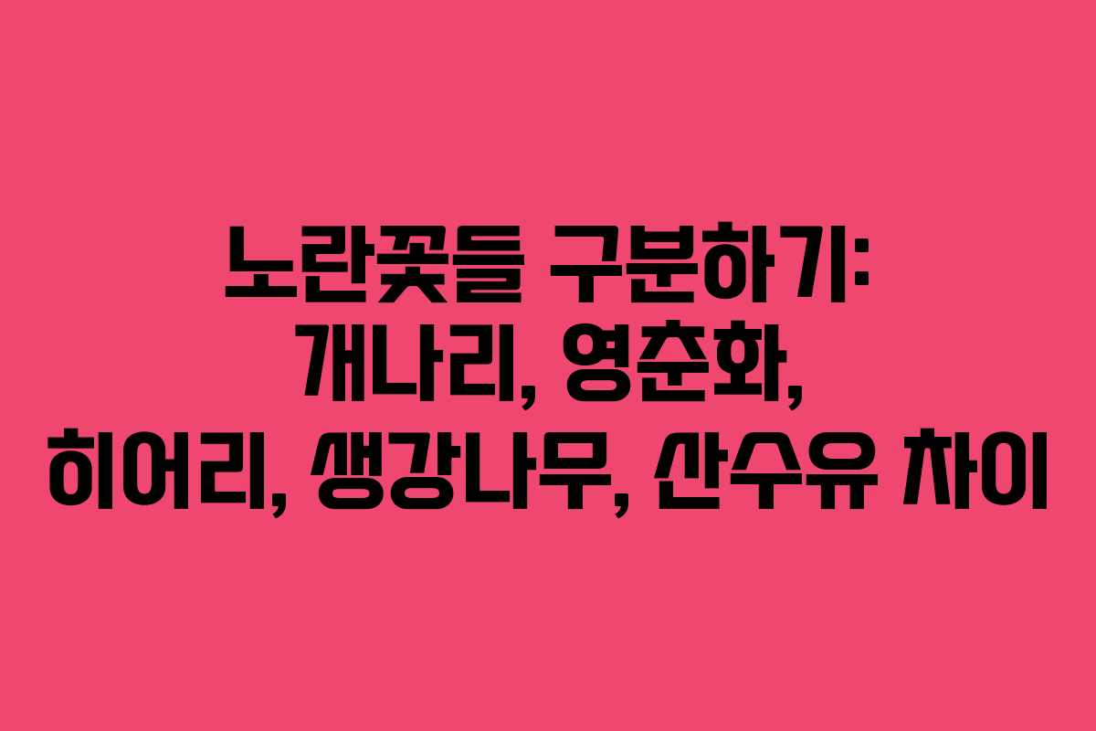 노란꽃들 구분하기: 개나리, 영춘화, 히어리, 생강나무, 산수유 차이