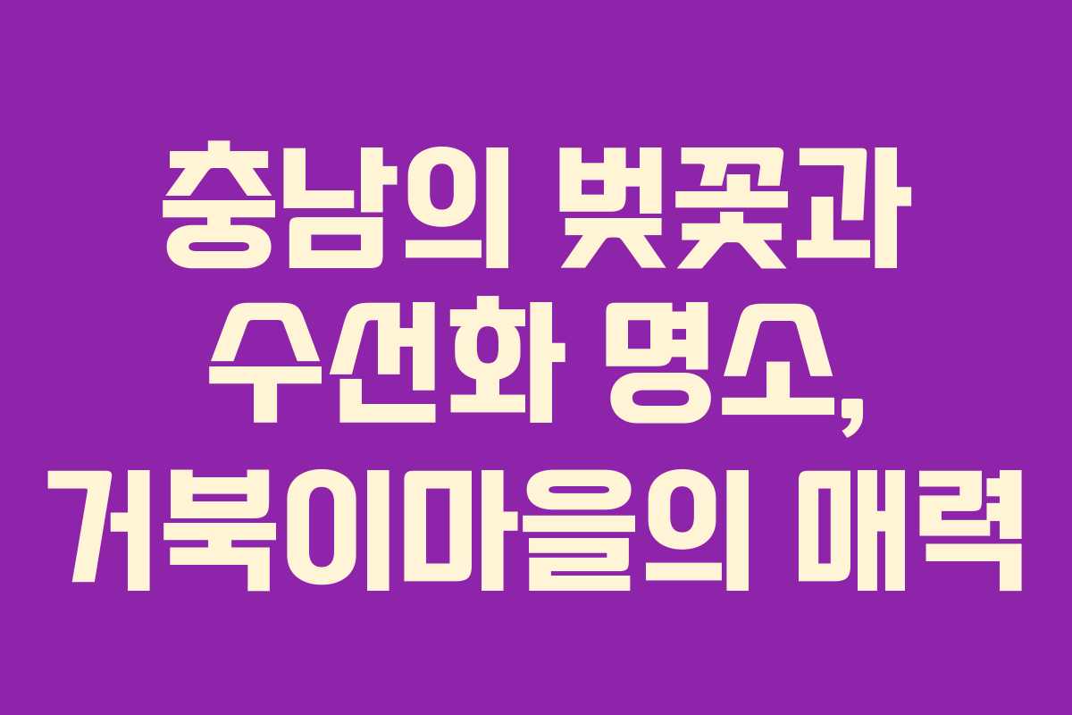 충남의 벚꽃과 수선화 명소, 거북이마을의 매력 충남의 벚꽃과 수선화 명소, 거북이마을의 매력