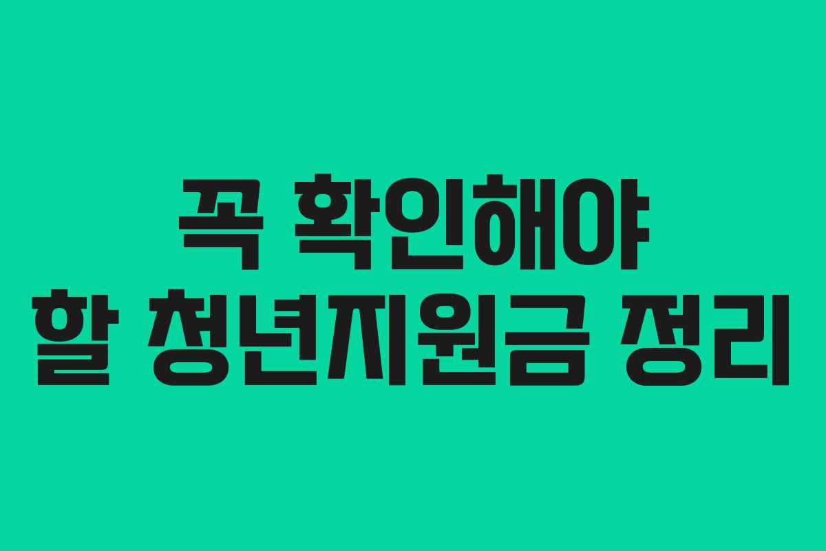 꼭 확인해야 할 청년지원금 정리