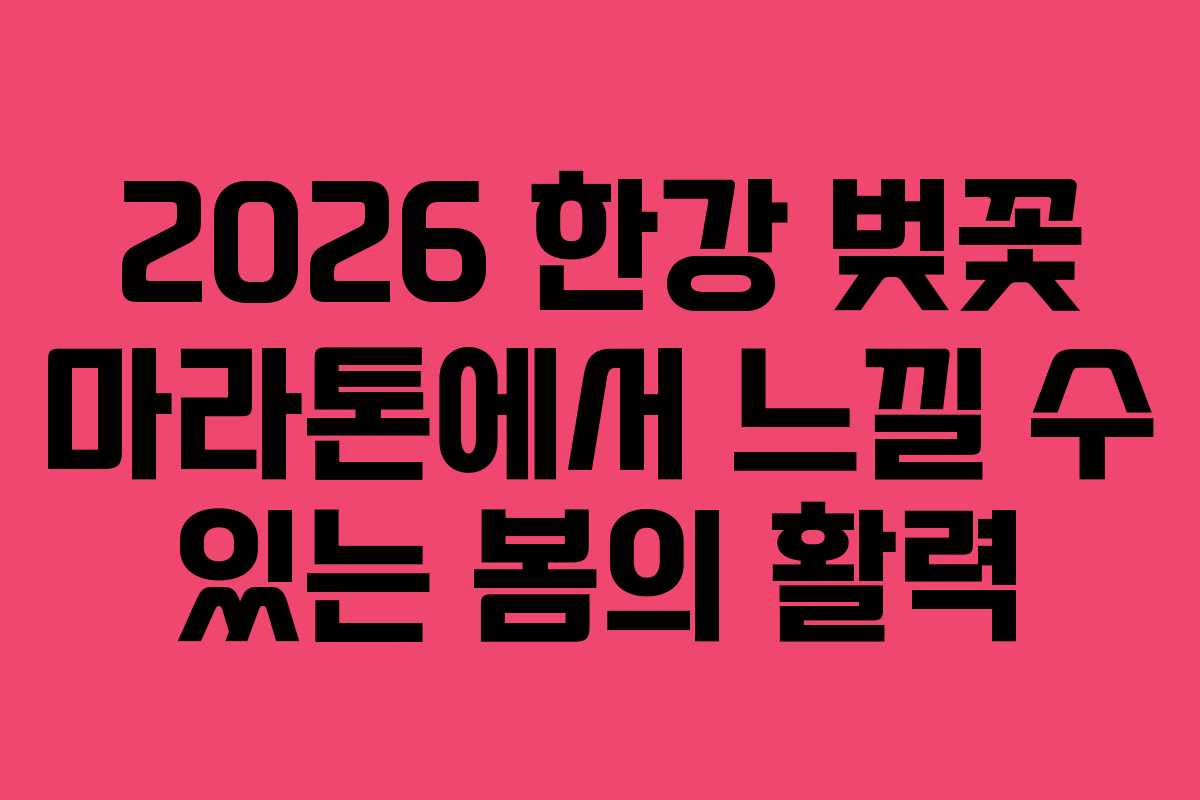 2026 한강 벚꽃 마라톤에서 느낄 수 있는 봄의 활력