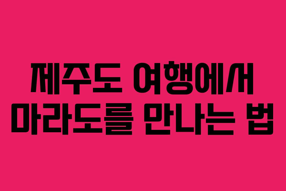제주도 여행에서 마라도를 만나는 법