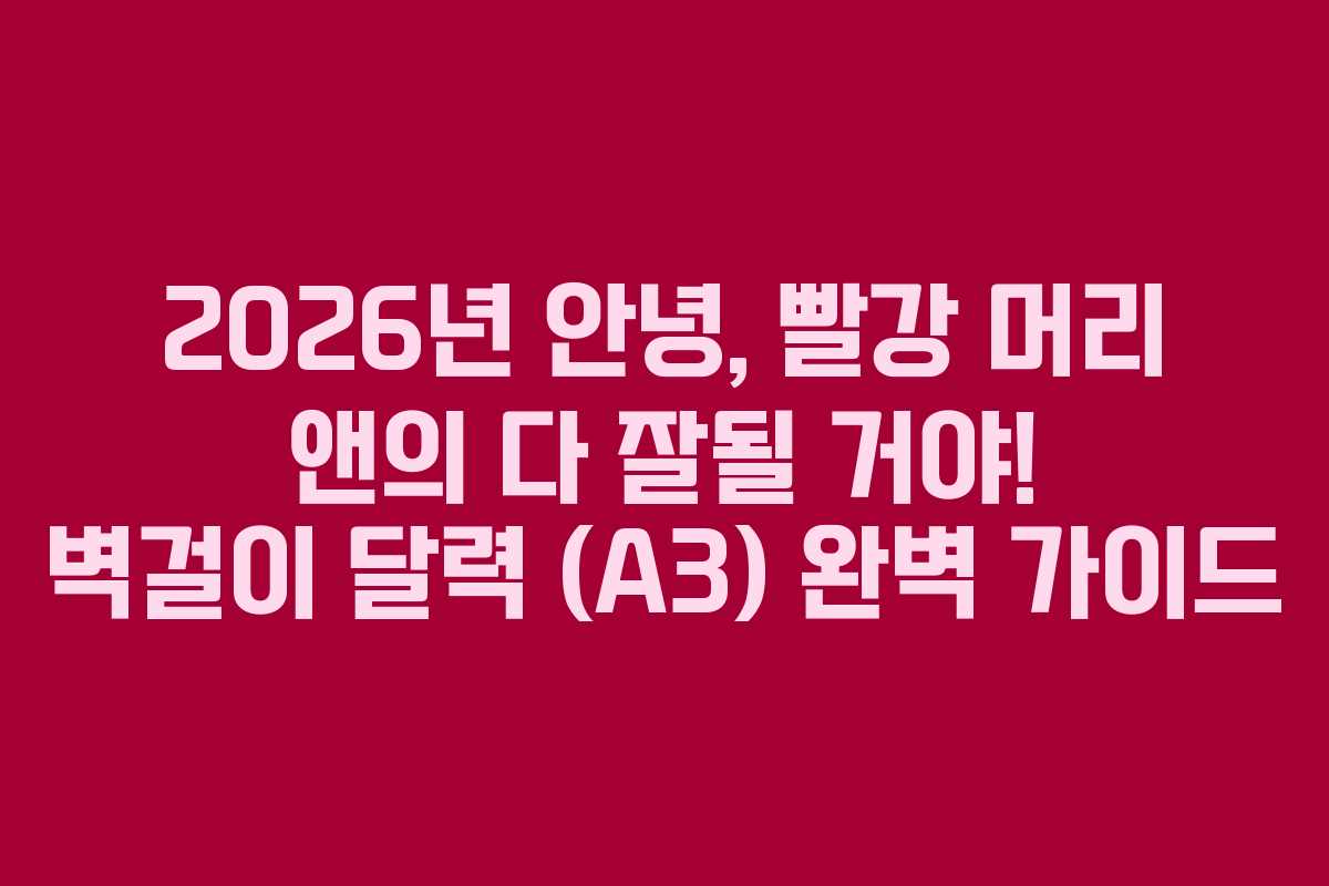 2026년 안녕, 빨강 머리 앤의 다 잘될 거야! 벽걸이 달력 (A3) 완벽 가이드