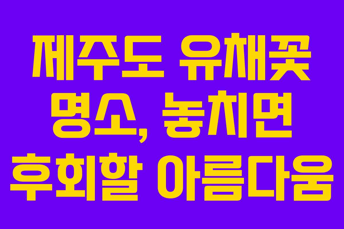 제주도 유채꽃 명소, 놓치면 후회할 아름다움