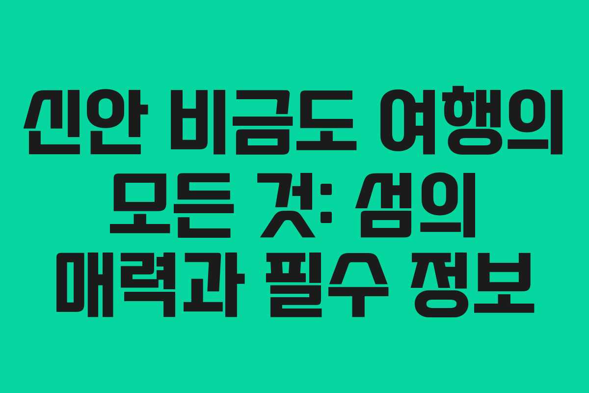 신안 비금도 여행의 모든 것: 섬의 매력과 필수 정보