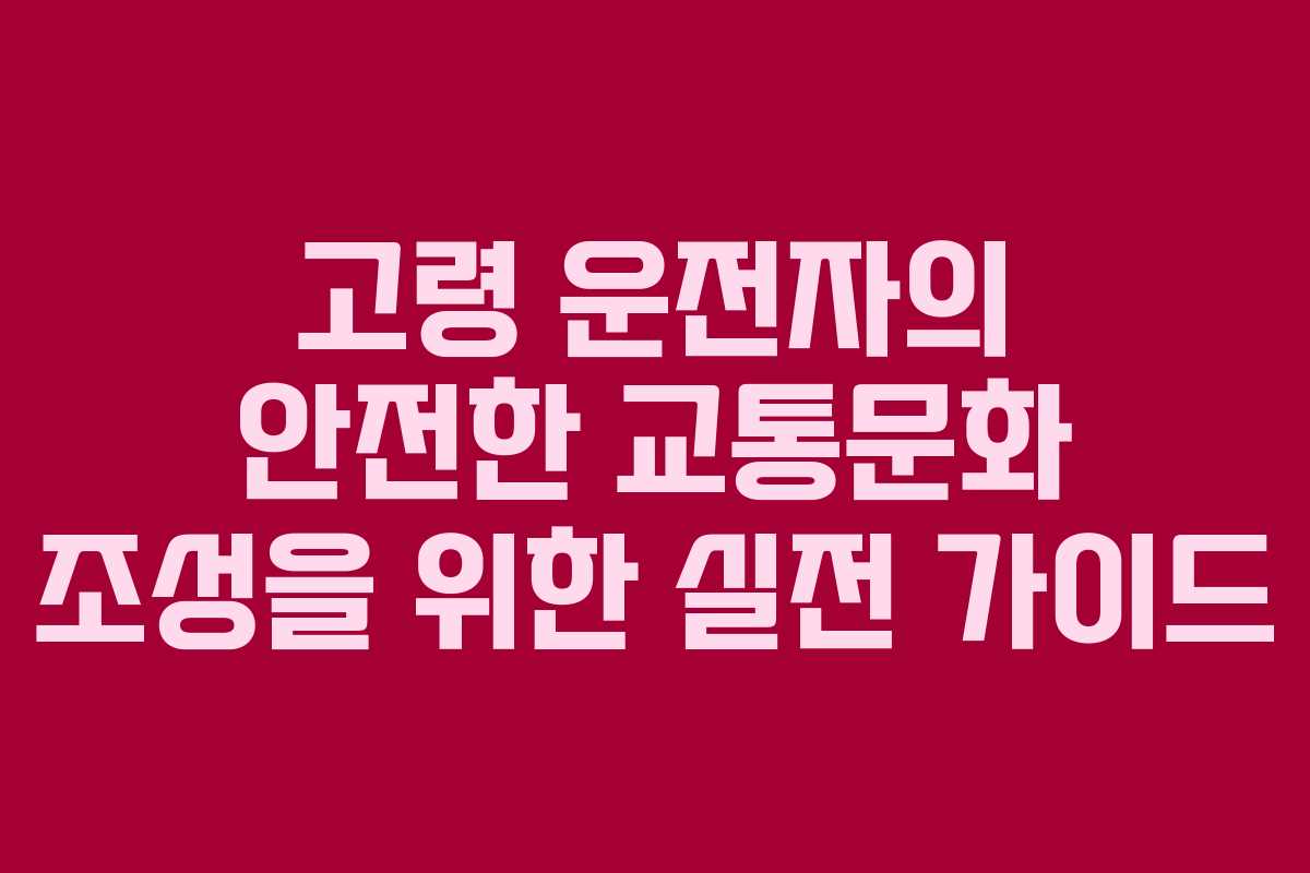 고령 운전자의 안전한 교통문화 조성을 위한 실전 가이드