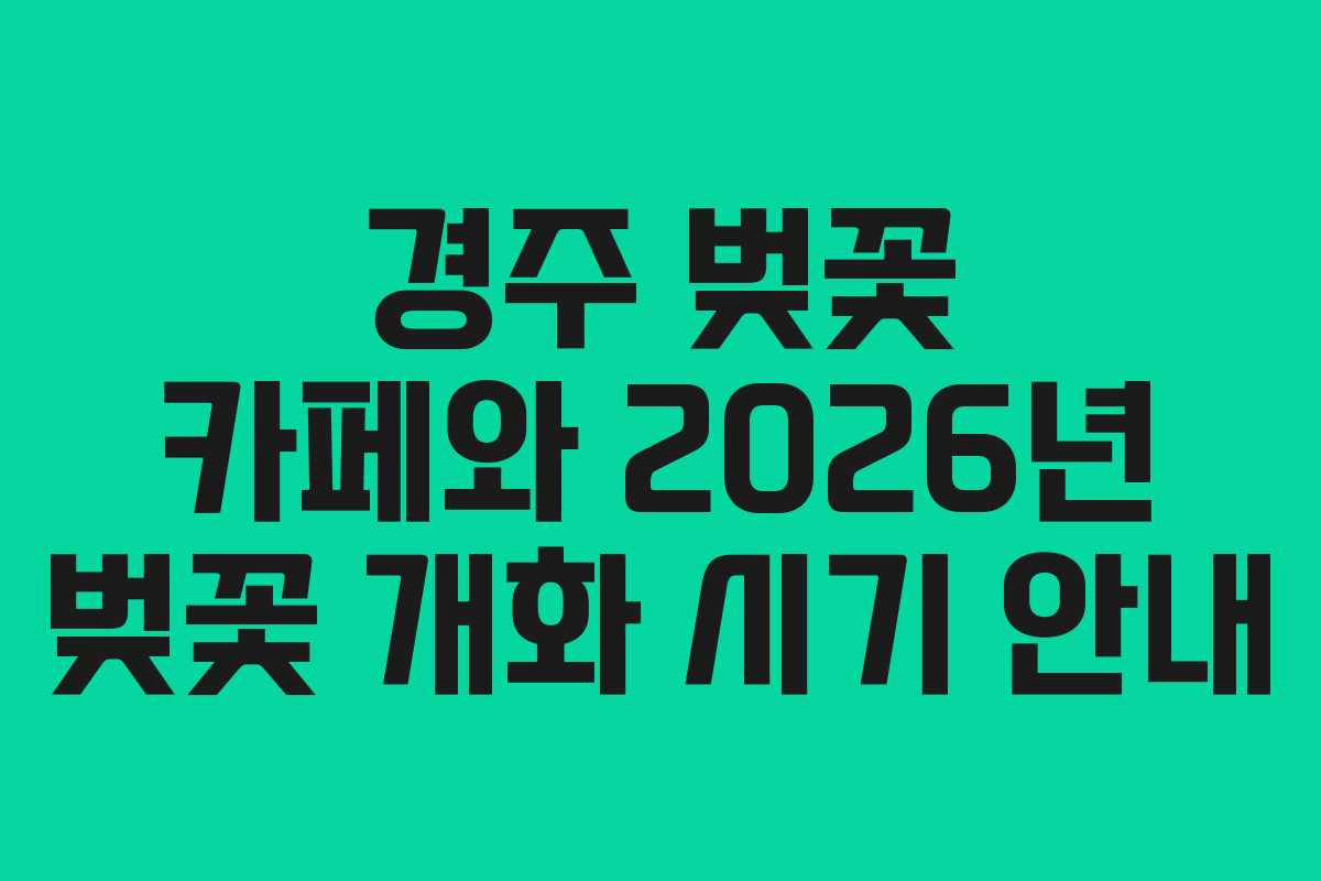 경주 벚꽃 카페와 2026년 벚꽃 개화 시기 안내