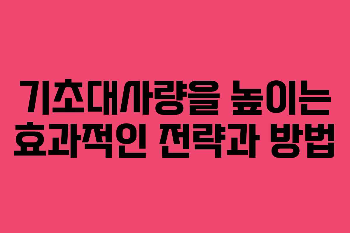 기초대사량을 높이는 효과적인 전략과 방법