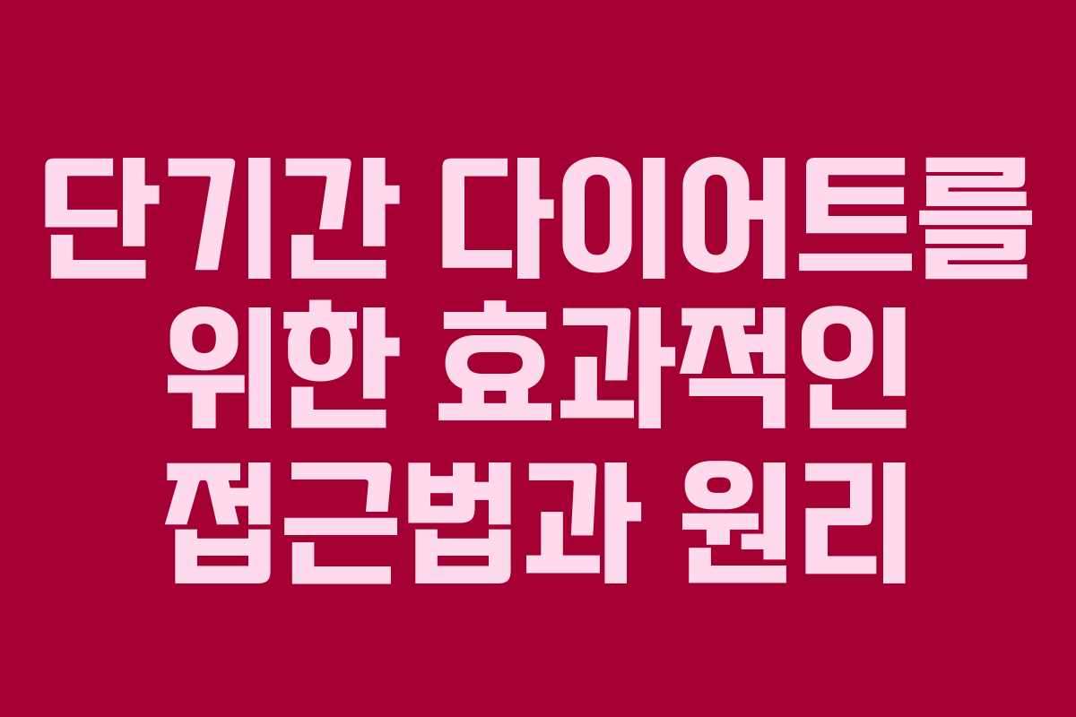 단기간 다이어트를 위한 효과적인 접근법과 원리