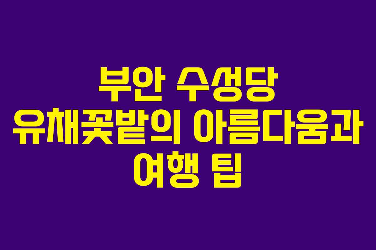 부안 수성당 유채꽃밭의 아름다움과 여행 팁