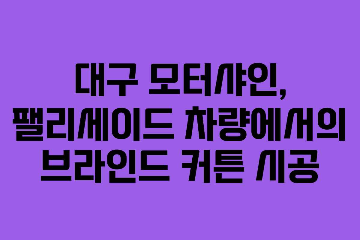 대구 모터샤인, 팰리세이드 차량에서의 브라인드 커튼 시공