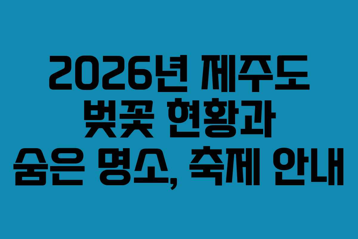 2026년 제주도 벚꽃 현황과 숨은 명소, 축제 안내