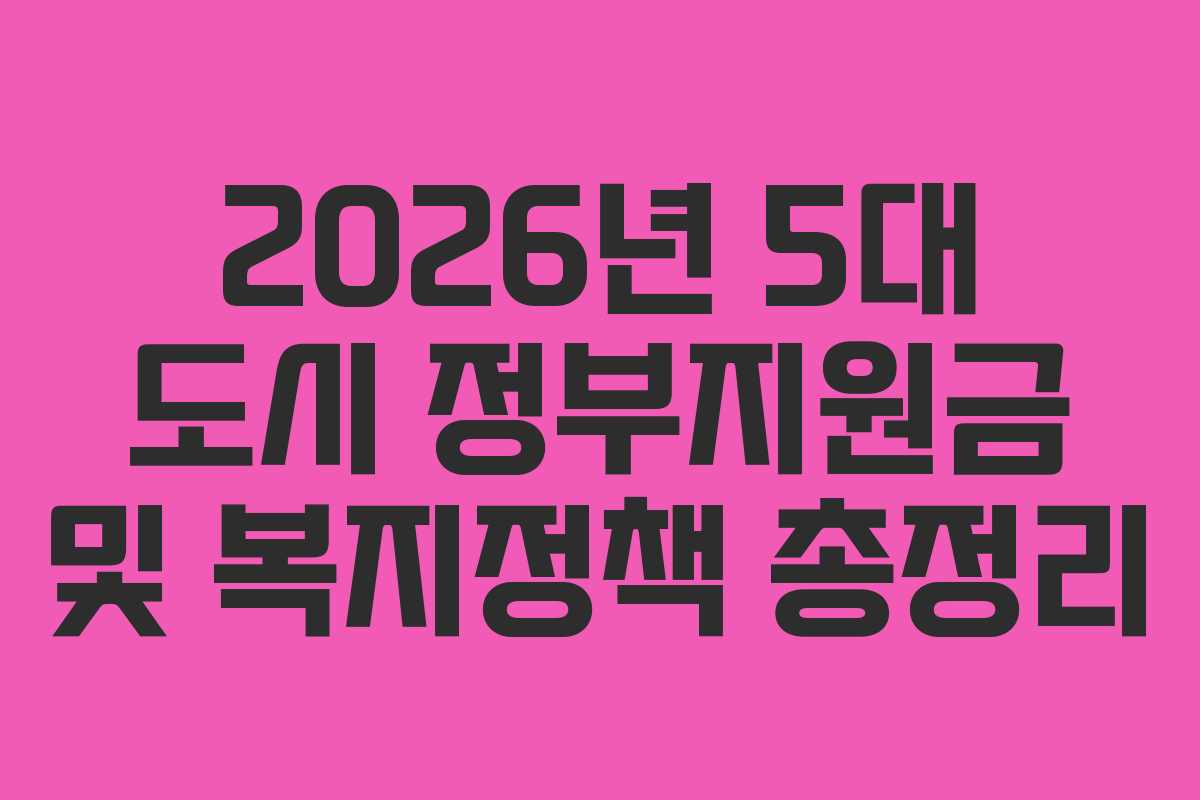 2026년 5대 도시 정부지원금 및 복지정책 총정리