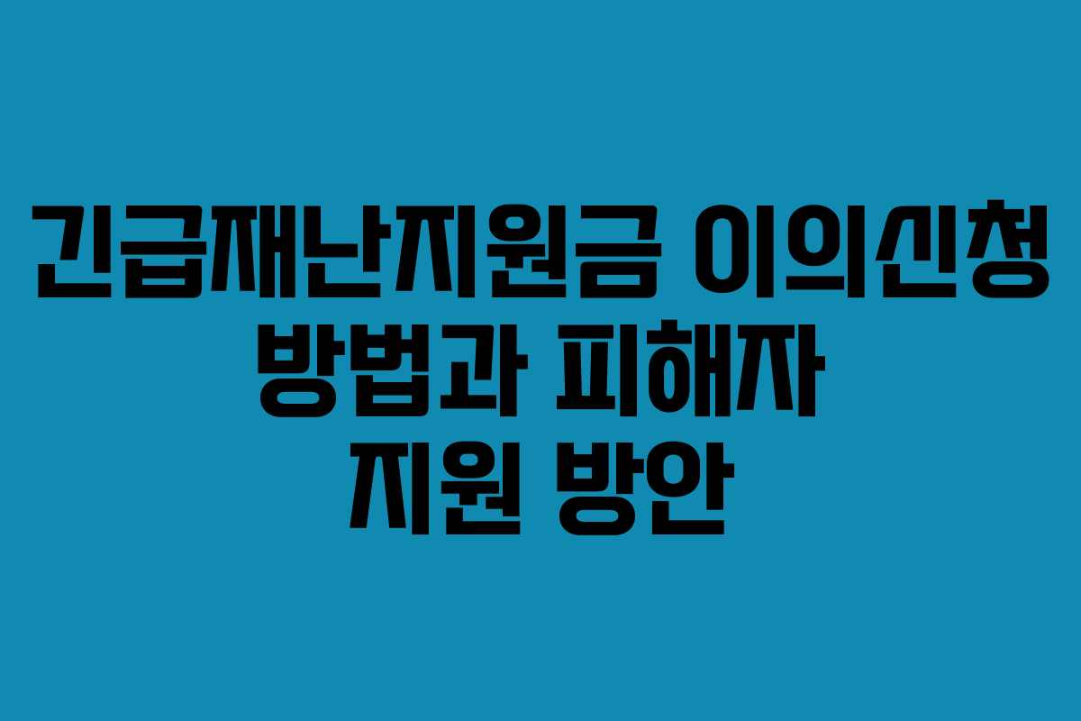긴급재난지원금 이의신청 방법과 피해자 지원 방안
