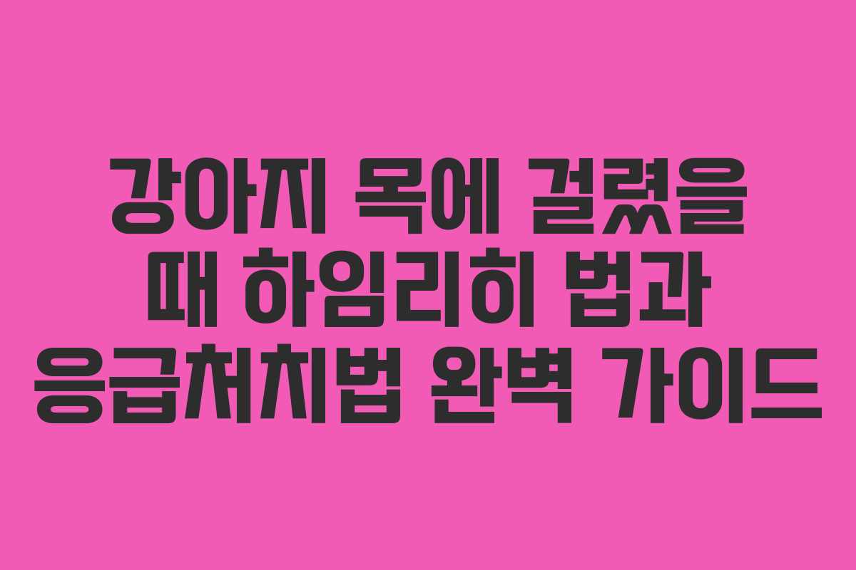 강아지 목에 걸렸을 때 하임리히 법과 응급처치법 완벽 가이드