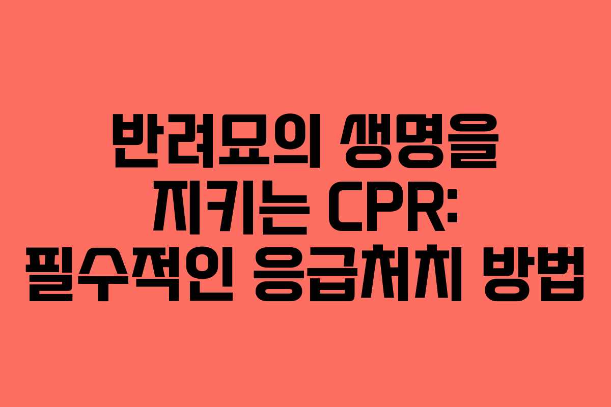 반려묘의 생명을 지키는 CPR: 필수적인 응급처치 방법