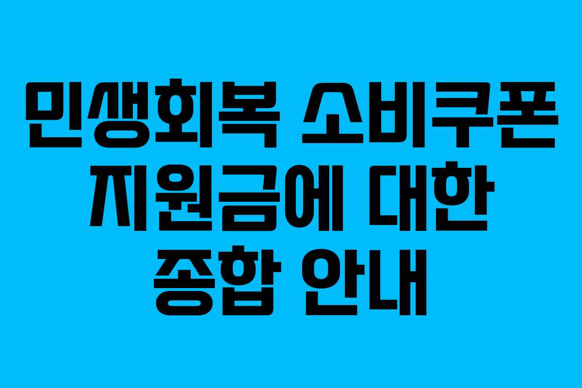 민생회복 소비쿠폰 지원금에 대한 종합 안내