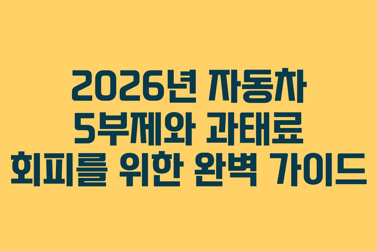 2026년 자동차 5부제와 과태료 회피를 위한 완벽 가이드