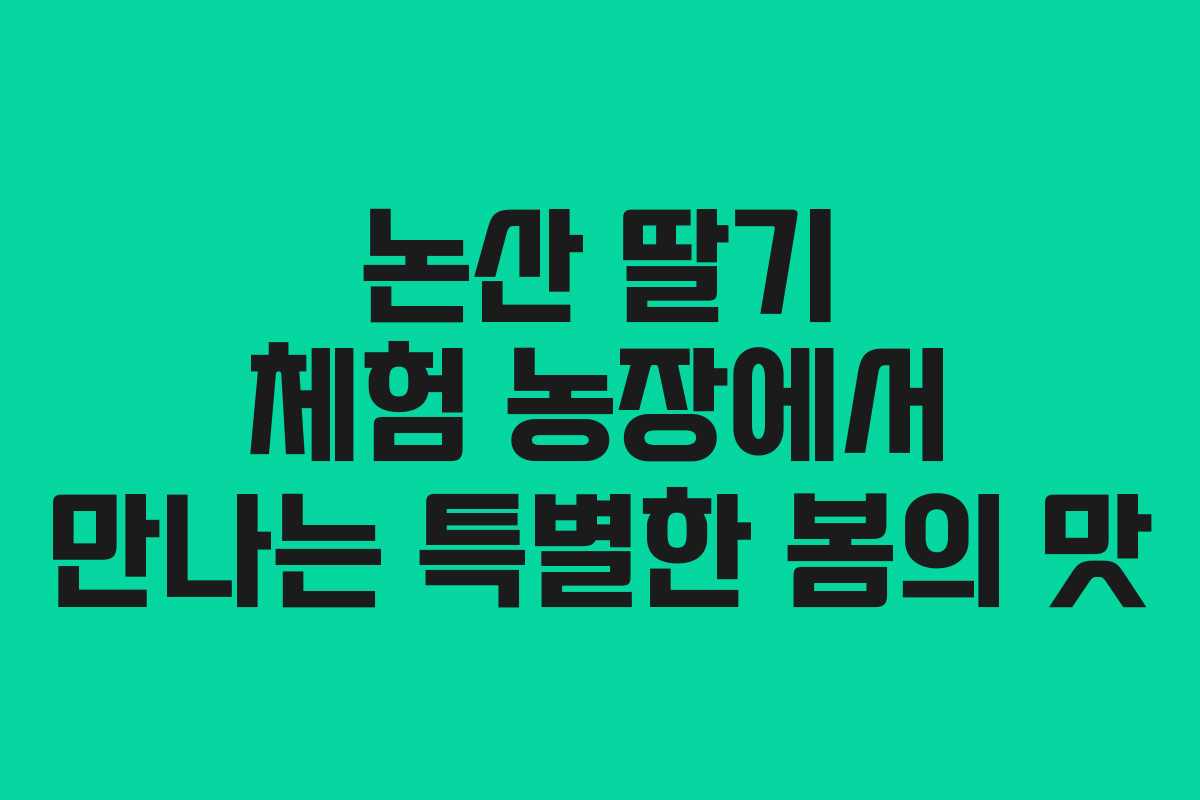 논산 딸기 체험 농장에서 만나는 특별한 봄의 맛