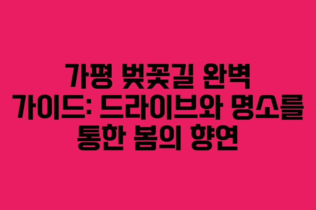 가평 벚꽃길 완벽 가이드: 드라이브와 명소를 통한 봄의 향연