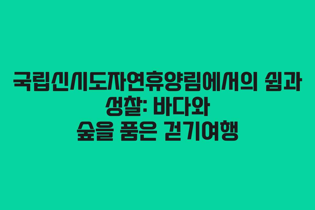 국립신시도자연휴양림에서의 쉼과 성찰: 바다와 숲을 품은 걷기여행