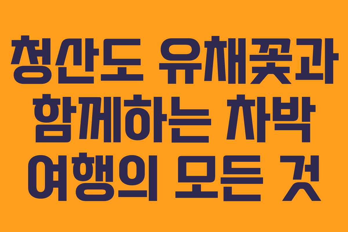 청산도 유채꽃과 함께하는 차박 여행의 모든 것