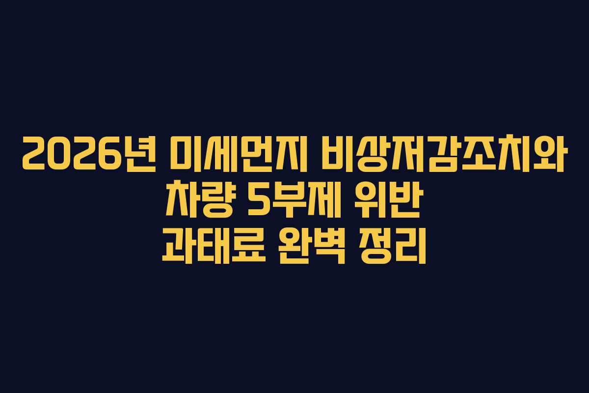 2026년 미세먼지 비상저감조치와 차량 5부제 위반 과태료 완벽 정리