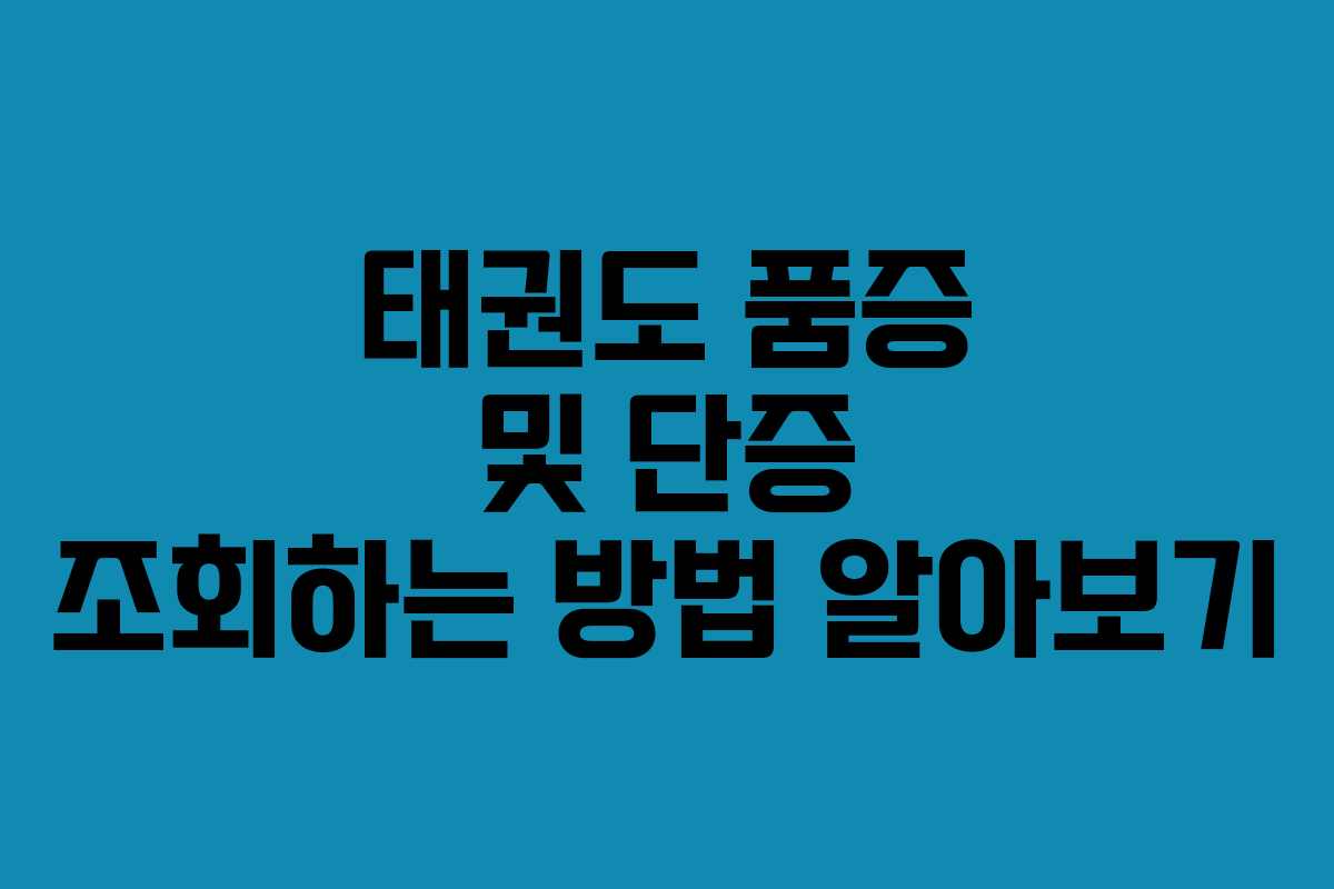 태권도 품증 및 단증 조회하는 방법 알아보기