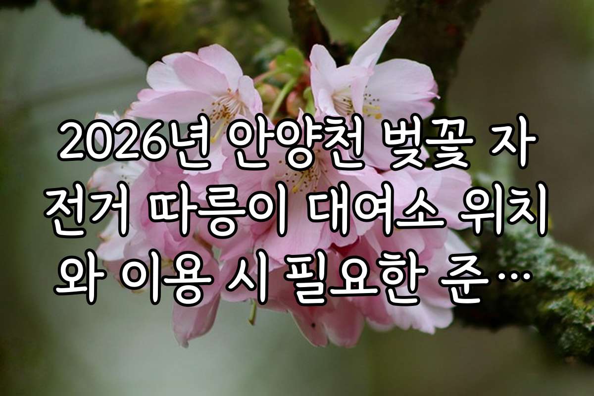 2026년 안양천 벚꽃 자전거 따릉이 대여소 위치와 이용 시 필요한 준비물