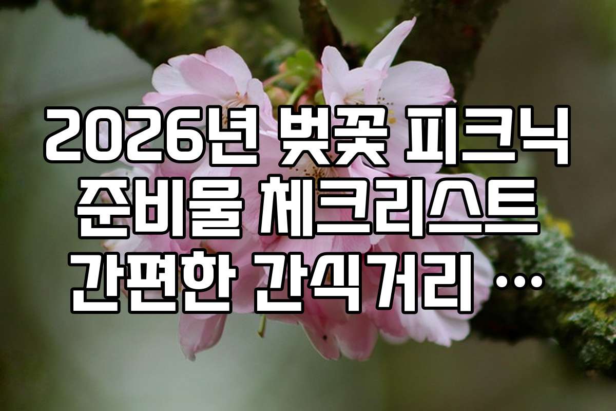 2026년 벚꽃 피크닉 준비물 체크리스트 간편한 간식거리 과자 초콜릿