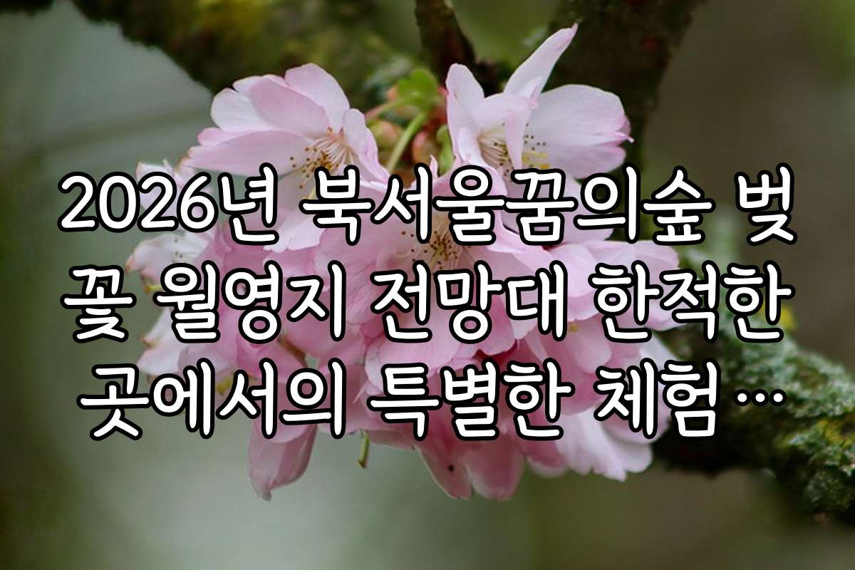 2026년 북서울꿈의숲 벚꽃 월영지 전망대 한적한 곳에서의 특별한 체험과 경험담