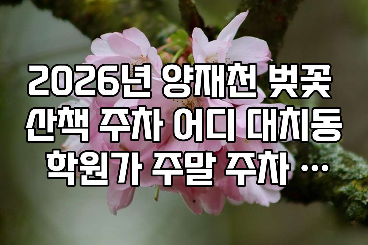 2026년 양재천 벚꽃 산책 주차 어디 대치동 학원가 주말 주차 구역