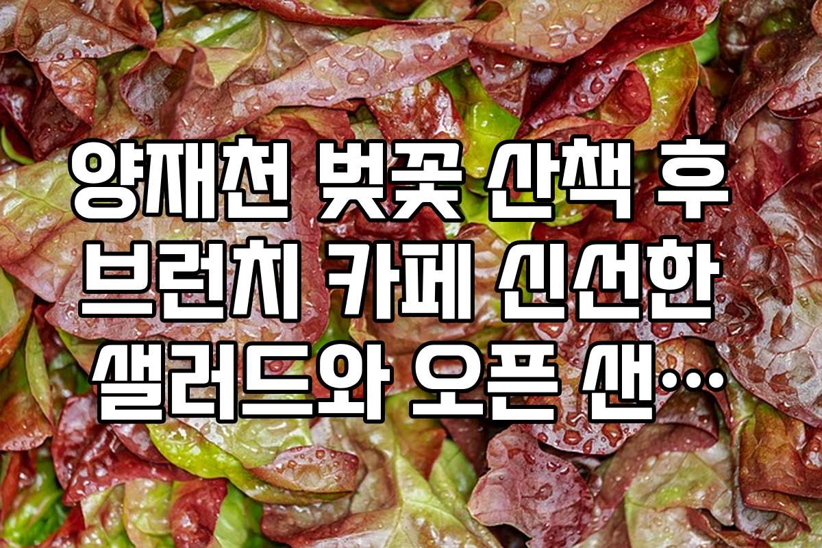 양재천 벚꽃 산책 후 브런치 카페 신선한 샐러드와 오픈 샌드위치 맛집