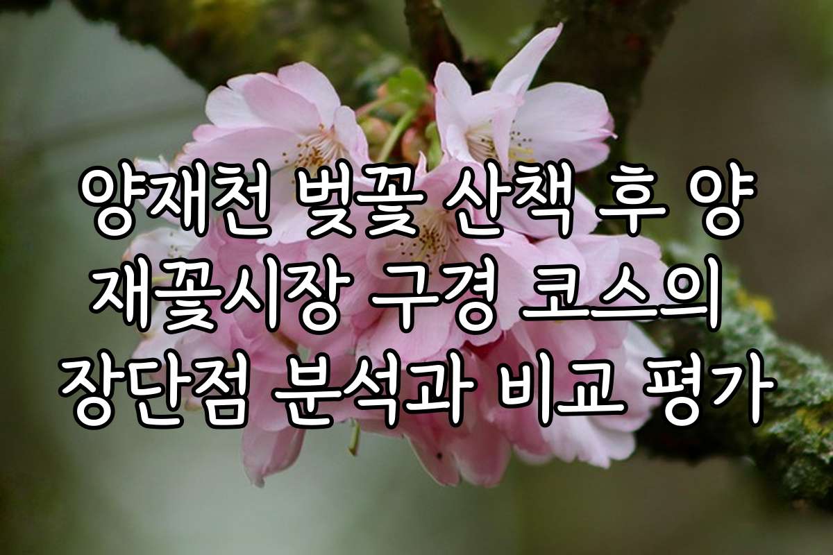 양재천 벚꽃 산책 후 양재꽃시장 구경 코스의 장단점 분석과 비교 평가